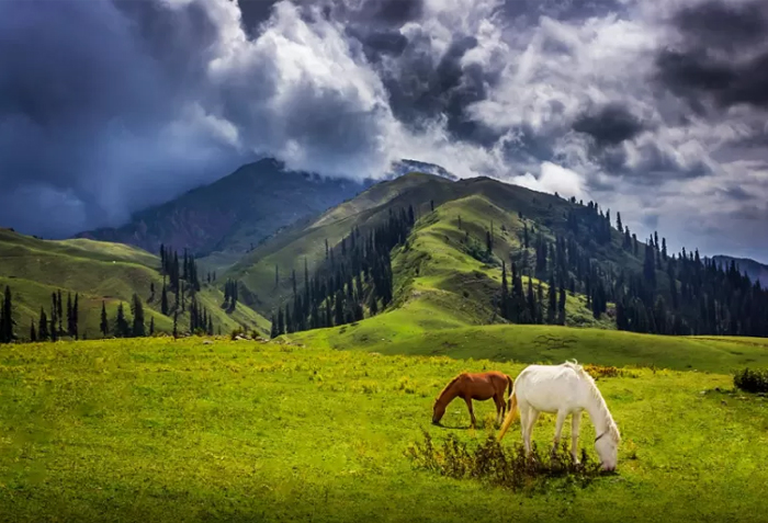 Siri And Paye in Mansehra